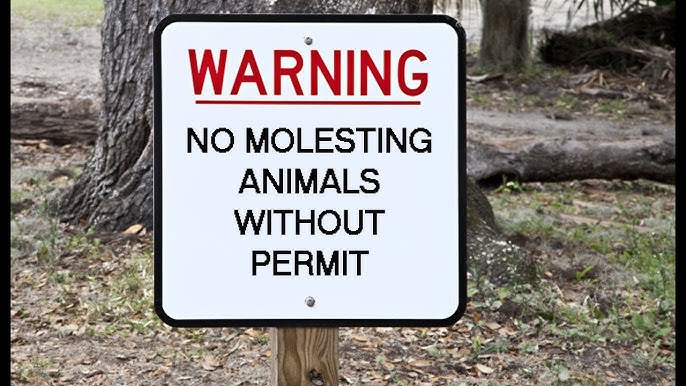 Immigration Court Practice Manual